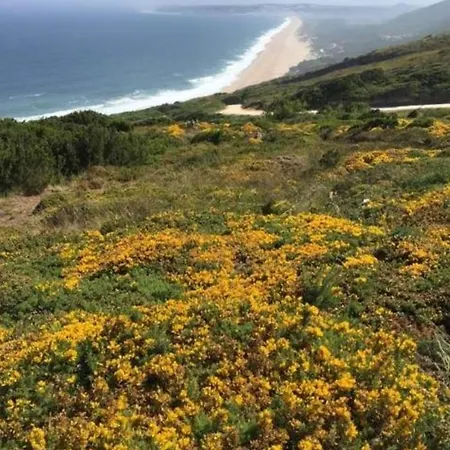 Βίλα Ruime Rustige Met Uitzicht Nazare En Zwembad Famalicão